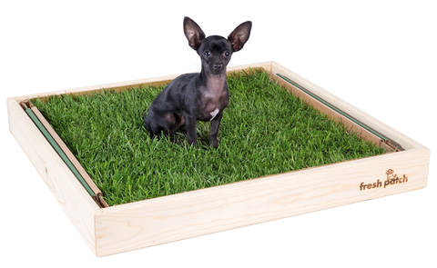 Dog hot sale lawn potty