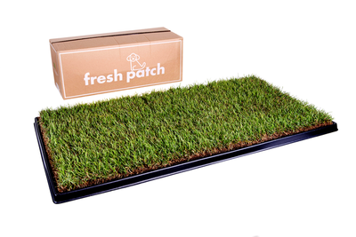Large Fresh Patch Real Grass Dog Potty