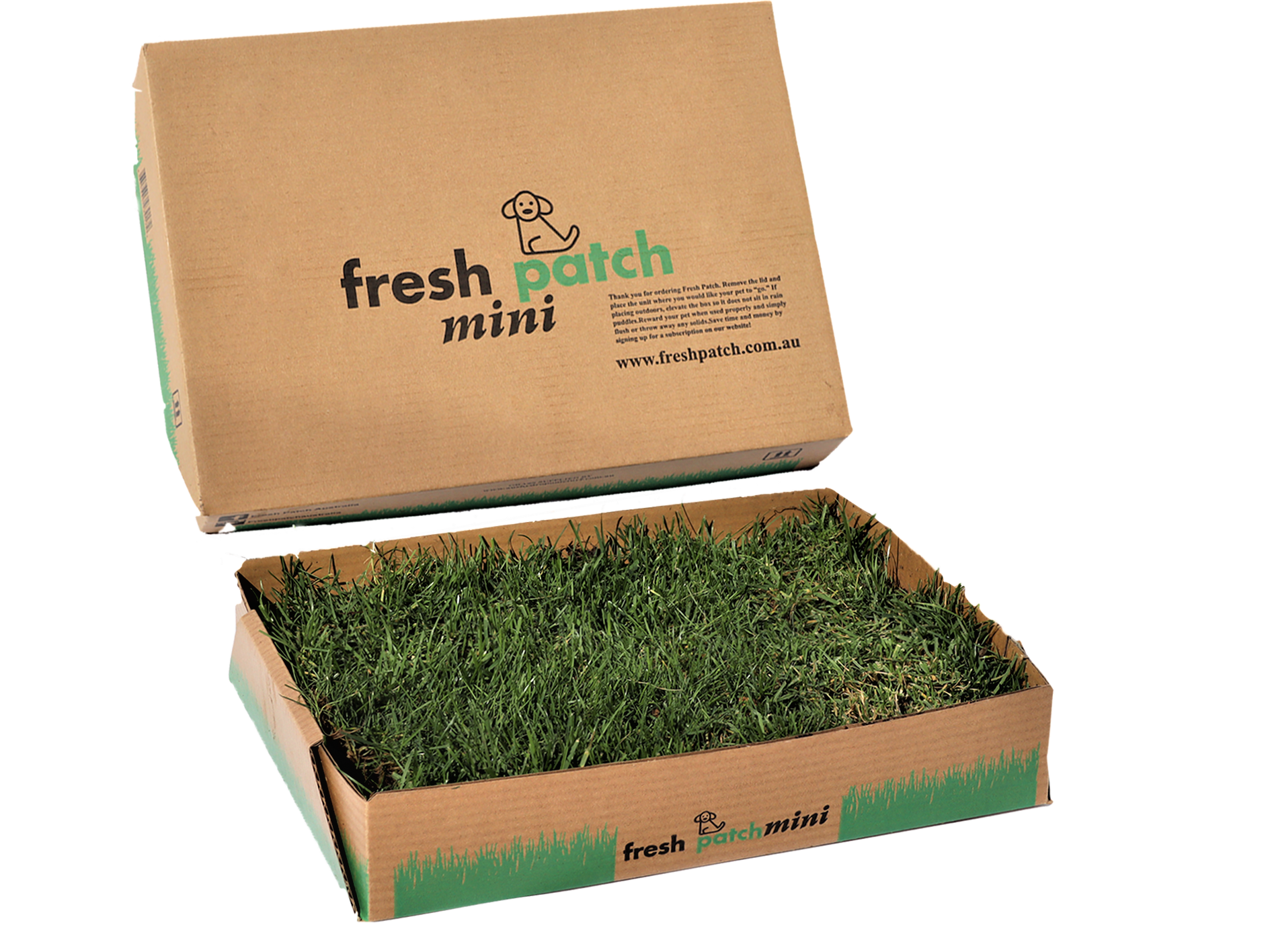 Fresh Patch Mini
