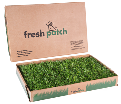 Fake patch deals of grass dog