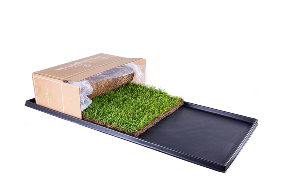 Fresh online patch grass