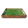 Dark Oak Protective Sleeve - small dog